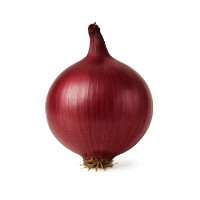 Ingredienti freschi per chutney: Cipolla Rossa