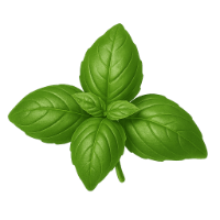 Ingredienti freschi per confettura: basilico