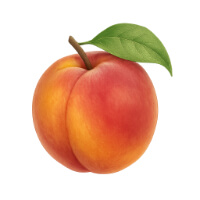 Ingredienti freschi per chutney: Pesca Gialla